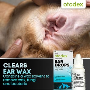 Otodex Ear Drops Wax Infographic 1080