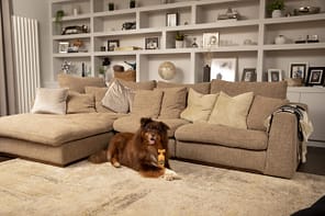 PET-951_HR_MASTER_Lifestyle Ditch the dirt 3