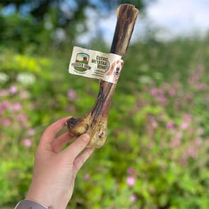 Paddock Farm Ostrich Metatarsus Bone Hand 1000