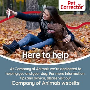 Pet Corrector Here to Help 1080px