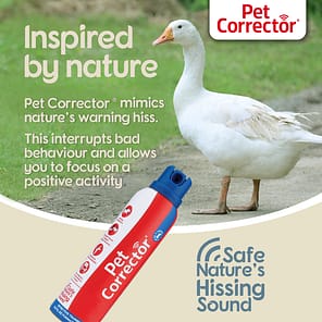 Pet Corrector Inspired by Nature 1080px