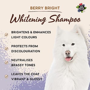 Pet Head Berry Bright Shampoo Benefits 1080px