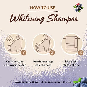 Pet Head Berry Bright Shampoo How to Use 1080px