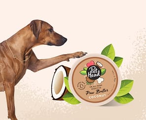 Pet Head Paw Butter Coconut Lifestyle 1080px