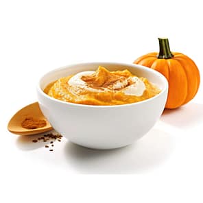 Pumpkinz Powder Puree 1024