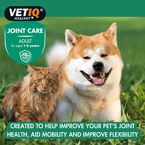 VETIQ-Joint-Care-Adults-Lifestyle-1.0