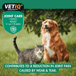VETIQ-Joint-Care-Adults-Lifestyle-2.0