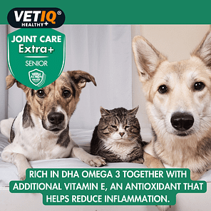 VETIQ-Joint-Care-Extra-Senior-Lifestyle-1.0