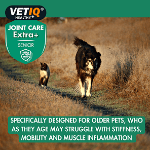 VETIQ-Joint-Care-Extra-Senior-Lifestyle-2.0