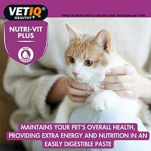 VetIQ Nutri-Vit Cats Benefit Lifestyle 1080