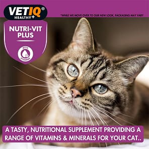 VetIQ Nutri-Vit Cats Benefit Lifestyle2 1080