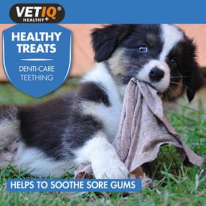 VetIQ Puppy Teething Treats Lifestyle