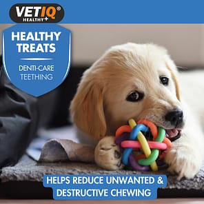 VetIQ Puppy Teething Treats Lifestyle2