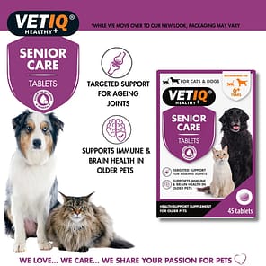 VetIQ Senior Care New F&B 1080