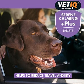 VetIQ Serene Calming Plus Lifestyle Chocolate Lab 1024