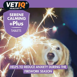 VetIQ Serene Calming Plus Lifestyle Fireworks 1024
