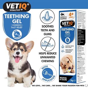 VetIQ Teething Gel New F&B 1000