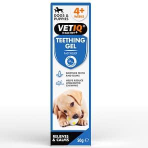 VetIQ Teething Gel Front of Pack with cute Labrador/Retriever puppy chewing a ball