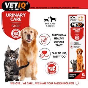 VetIQ Urinary Care Paste 2 1024
