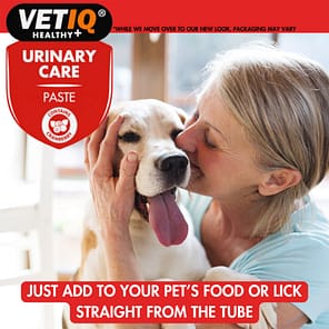VetIQ Urinary Care Paste 3 1024