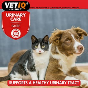 VetIQ Urinary Care Paste 5 1024