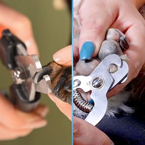 58404-002 - Nail Clipper - Orange - Image 6.jpg