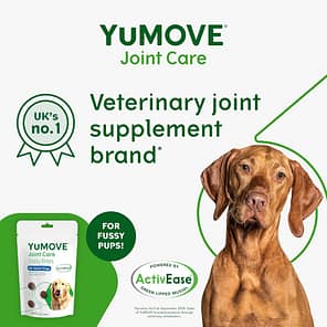 YuMove Joint Care Daily Bites No1 Brand Infographics 1080px