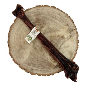 Overhead shot of a Large Ostrich "caveman" bone on a decorative log