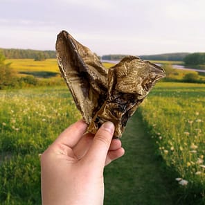 lamb-lung-flat-4 Puffed Lamb Jerky