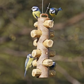 Birds feeding on insect flavour suet logs in garden