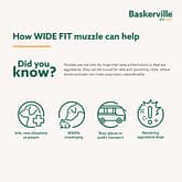 Baskerville Wide Fit Muzzles Did You Know Infographics 1080