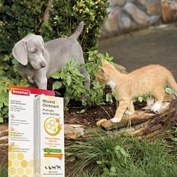 Beaphar Wound Ointment Lifestyle2