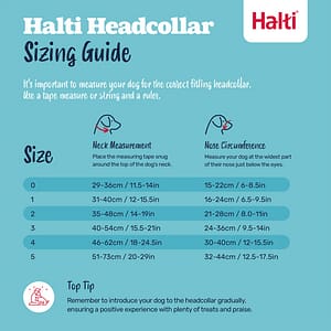 Halti Headcollar - Stop your dog pulling 1 Halti Head Collar Size Guide NEW