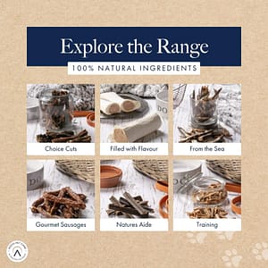 Hollings Pig Ears 2 Pack Natural Dog Treats 1 Hollings Dog Treats Range