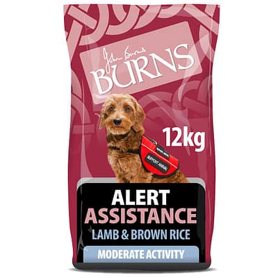 Burns Alert Assistance Lamb