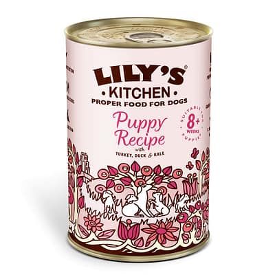 Lily's Kitchen Puppy Turkey & Duck 400g 6pack