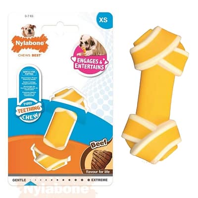 Nylabone Puppy Knot Beef XS
