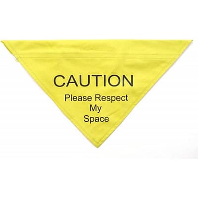 Hi Viz Dog Bandana with Caution, Please respect my space printed on it