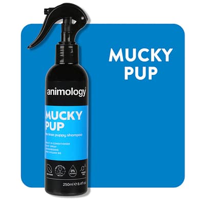 Bottle of Animology Mucky Pup no Rinse Shampoo spray on a blue background