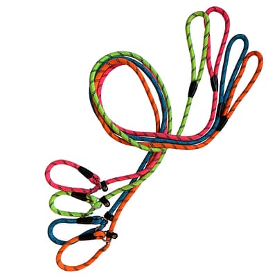 Hem and Boo Neon Slip Leads