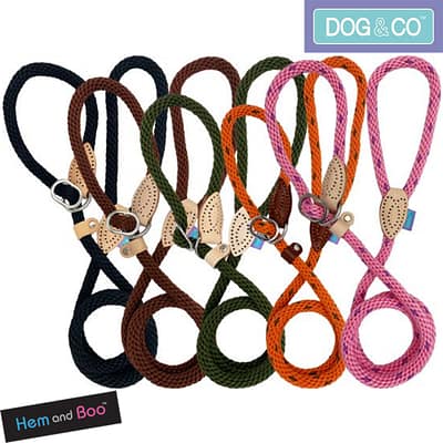 Set of Dog & Co Soft Rope Slip Leads in various colours