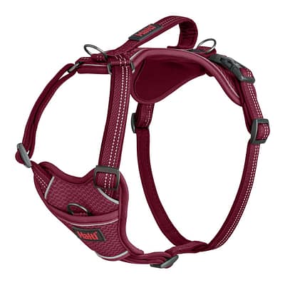Halti Anatomy Dog Harness with Handle - Magenta