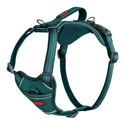 Halti Anatomy Dog Harness with Handle - Teal