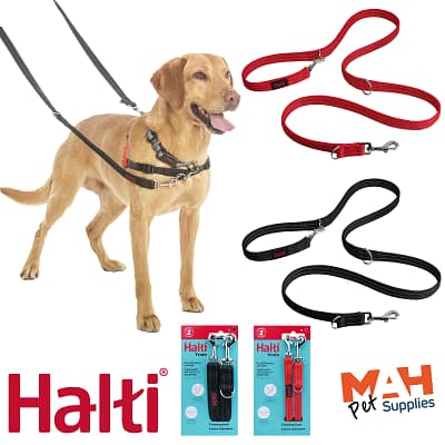 Home 9 Halti Training Lead