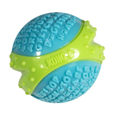 Blue and Green Tough Dog Ball