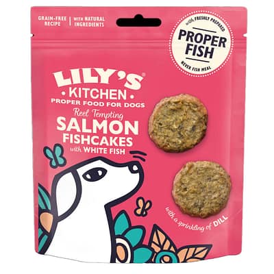 A pink product pouch for Lily's Kitchen "Reel Tempting Salmon Fishcakes with White Fish" grain-free dog treats. The bag features a stylized illustration of a white dog's head in the bottom left corner against a colorful floral background. To the right, two round, textured brown fishcake treats are shown. A circular white badge in the top right corner reads "Proper Fish" and "Never Fish Meal." The top of the pouch is pink with a black hang hole, and the text includes the brand name in a bold, white serif font.