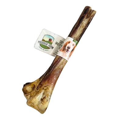 Ostrich Bone Dig Chew