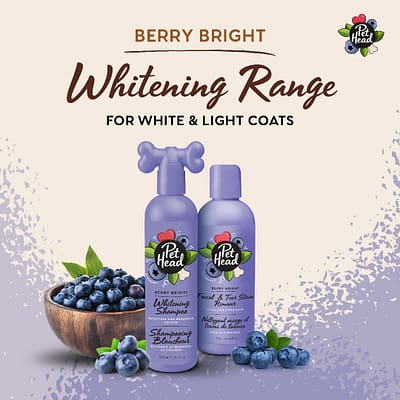 Pet Head Berry Bright Dog Shampoo and Stain Remover