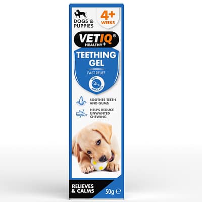 Home 15 VetIQ Teething Gel Front of Pack with cute Labrador/Retriever puppy chewing a ball