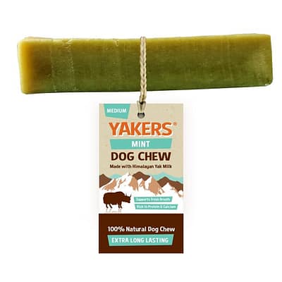 Yakers XL Mint Himalayan Yak Milk Dog Chew